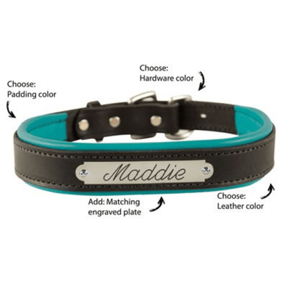 Perris Custom Padded Dog Collar with Name Plate