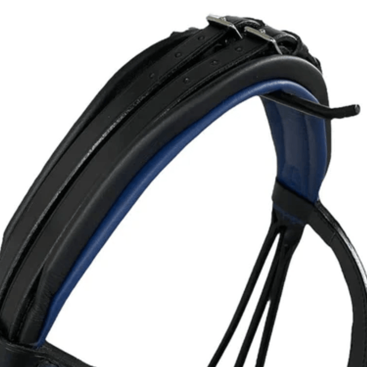 Close-up of a black and blue leather headcollar with buckles.