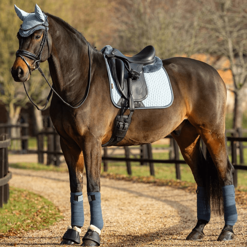 Lemieux Suede Dressage Pad - Glacier