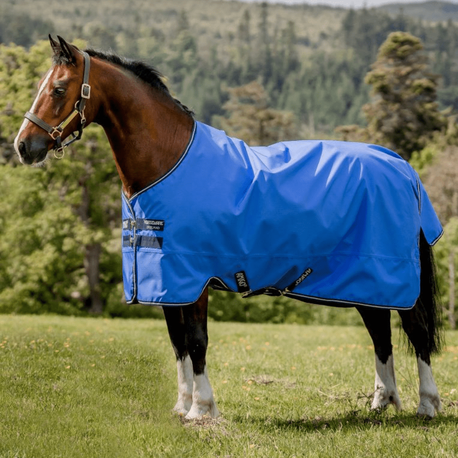 Horseware Amigo Hero Ripstop Pony Turnout - Blue, Navy & Grey