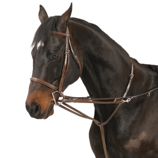 Camelot German Martingale Rein