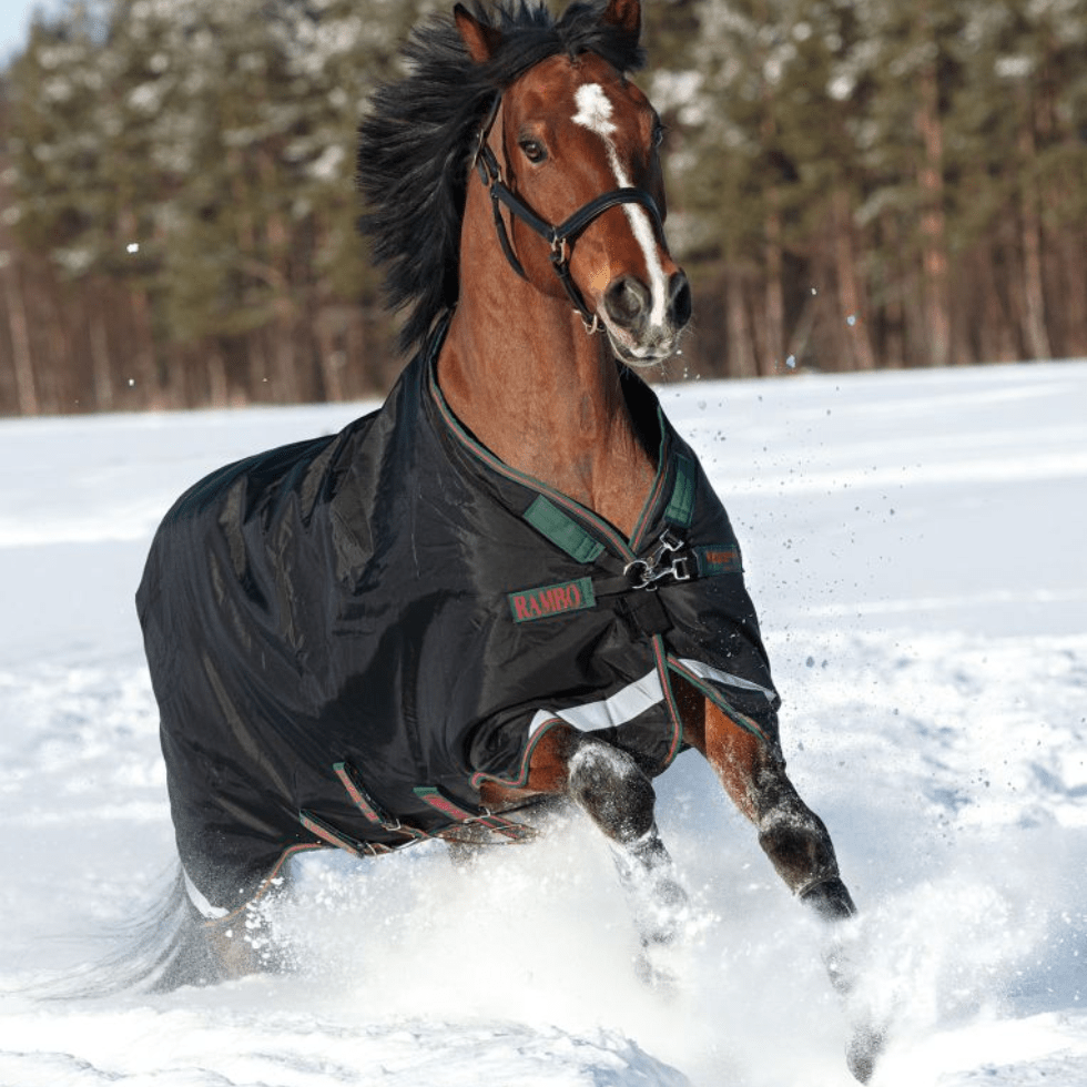 Rambo Original Turnout With Leg Arches - 200g