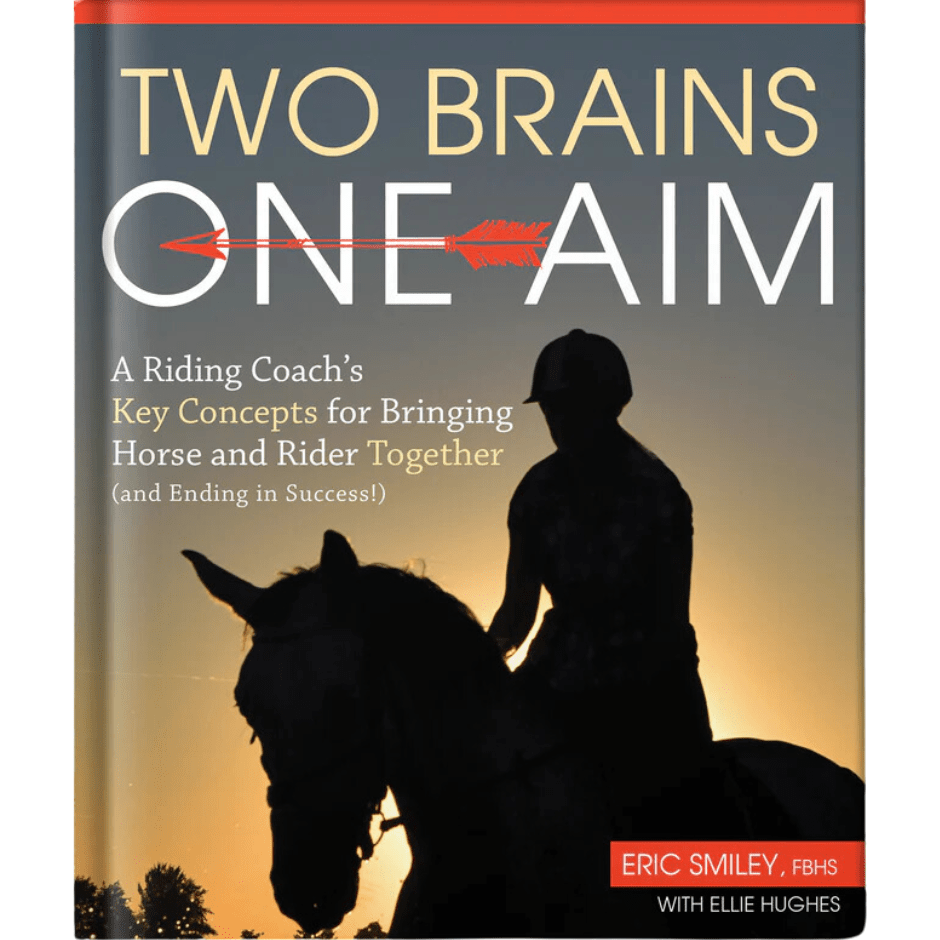 Two Brains One Aim by Eric Smiley