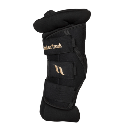 Back on Track Padded Royal Hock Boot Deluxe