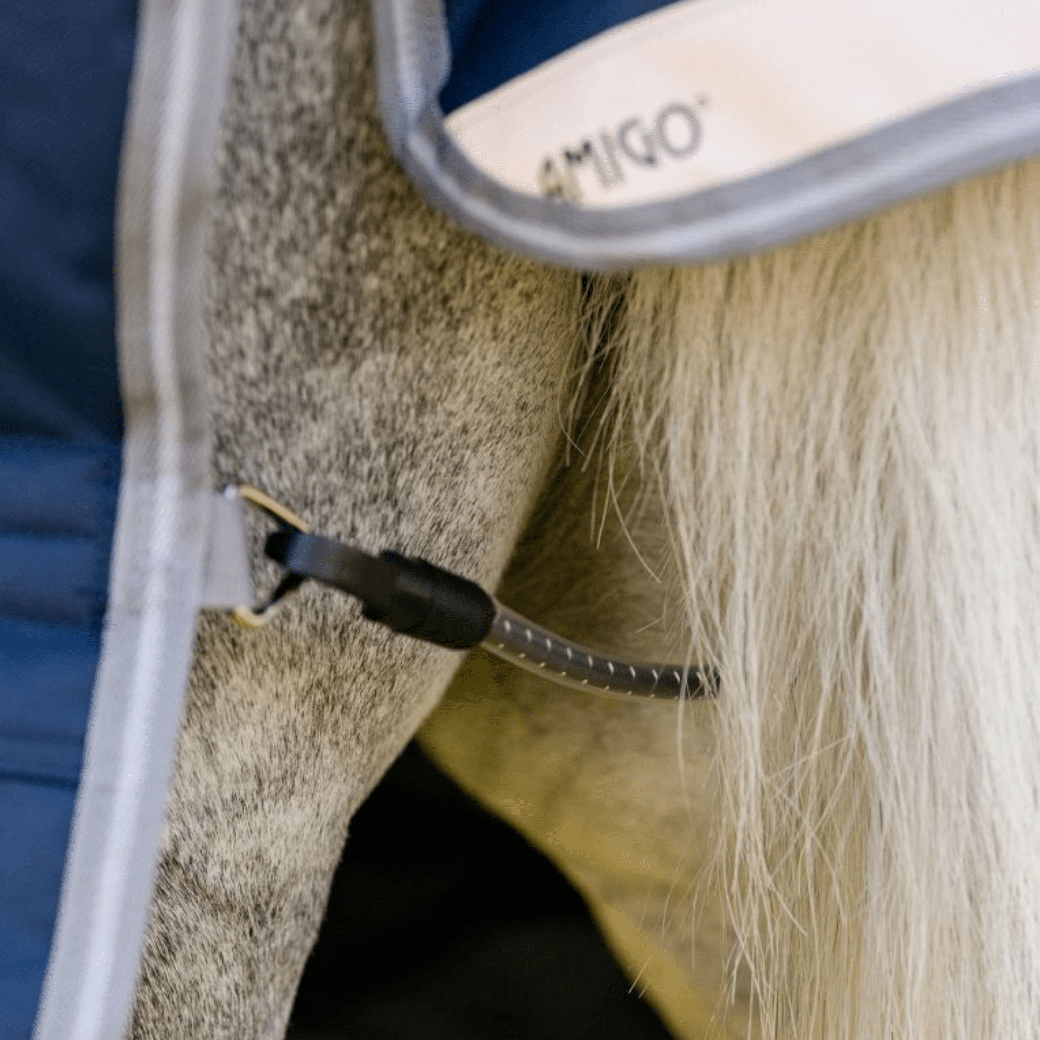 Amigo 1200D Plus Pony Turnout