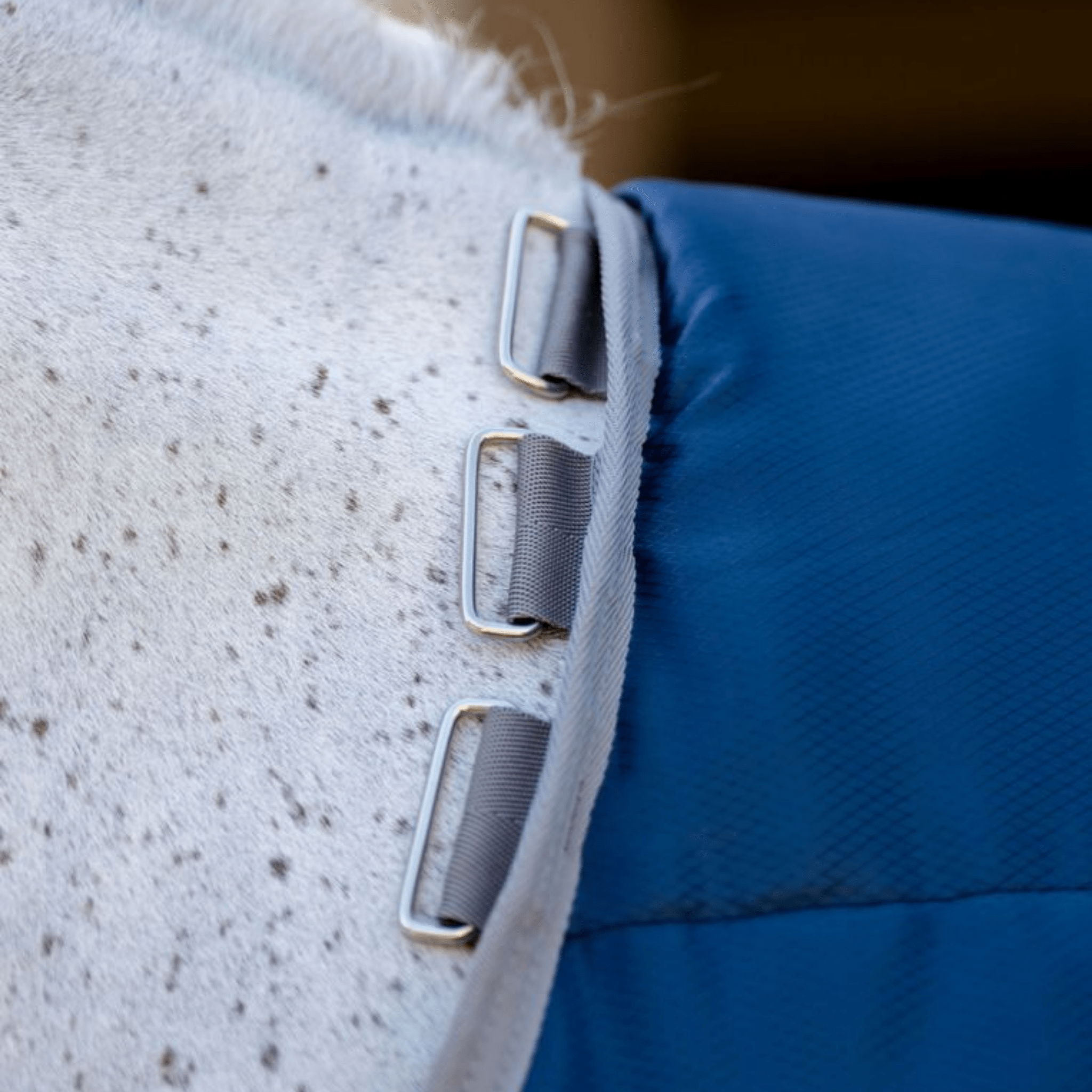 Amigo Ripstop Insulator Plus Pony Stable Blanket