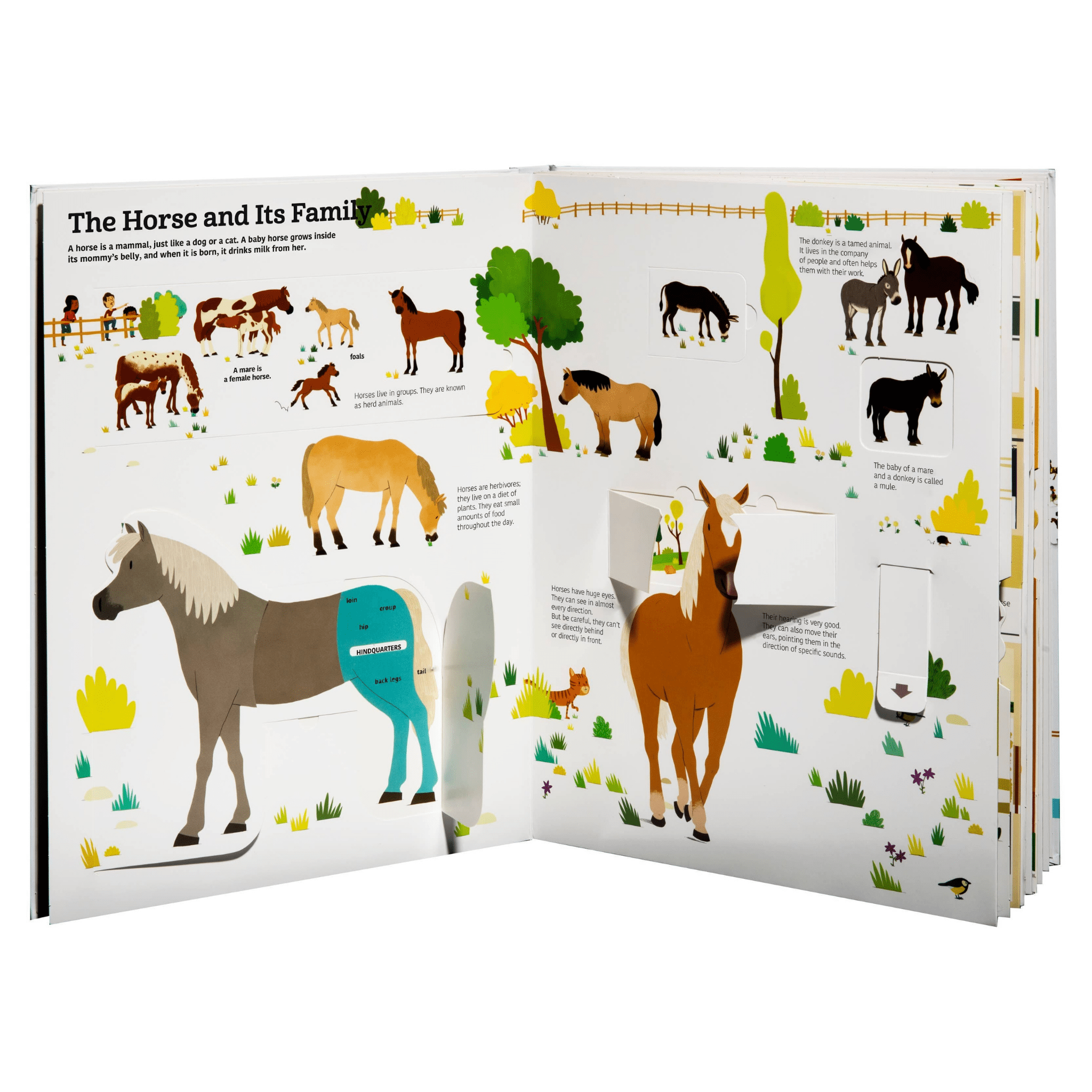 The Ultimate Book of Horses