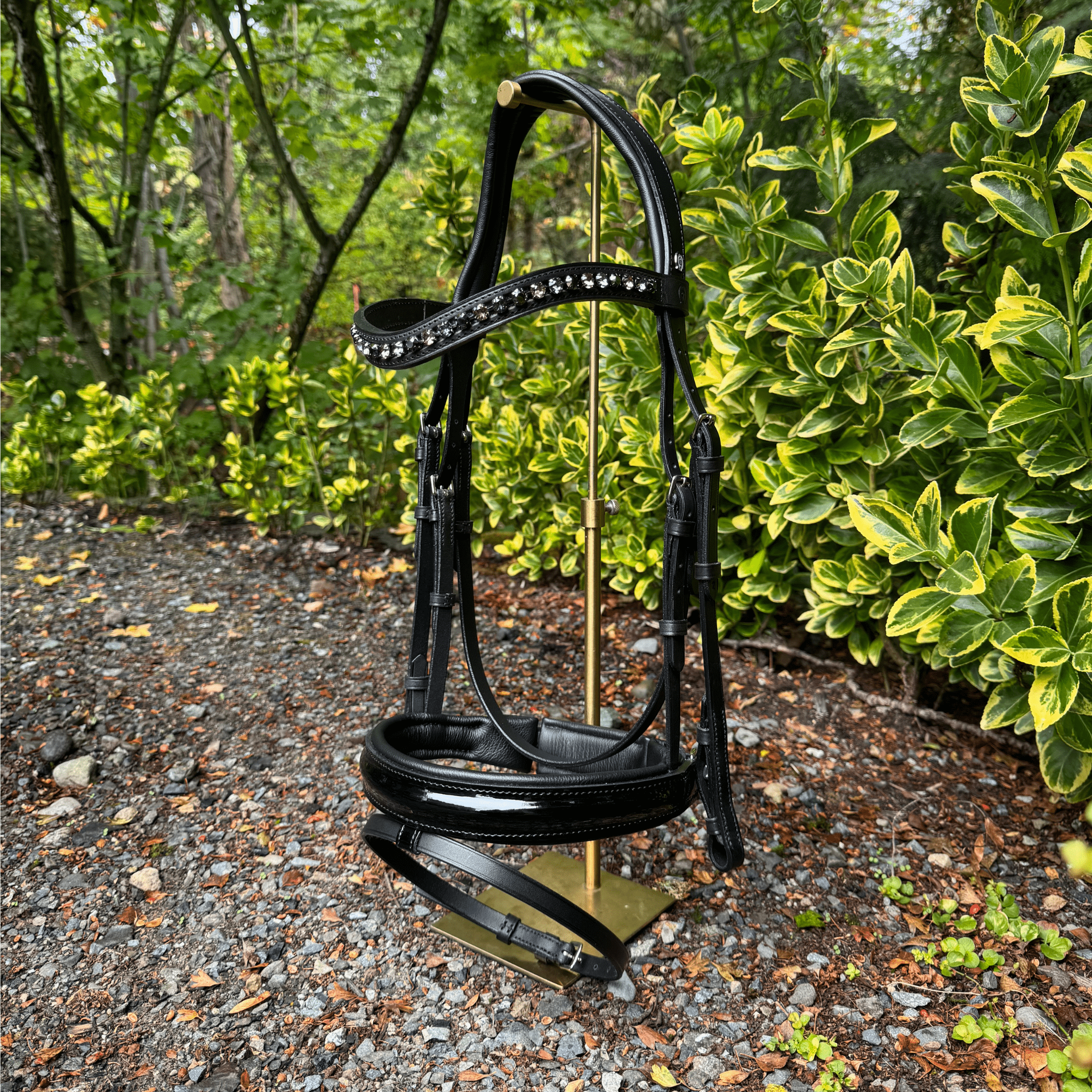 Otto Schumacher Elegant Snaffle Bridle With Multicolored brow