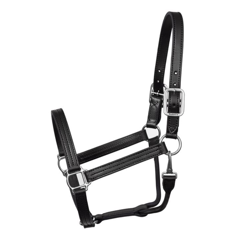 Perris Premium Leather Halter - Black & Chrome