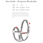 LeMieux Essential Barn Halter