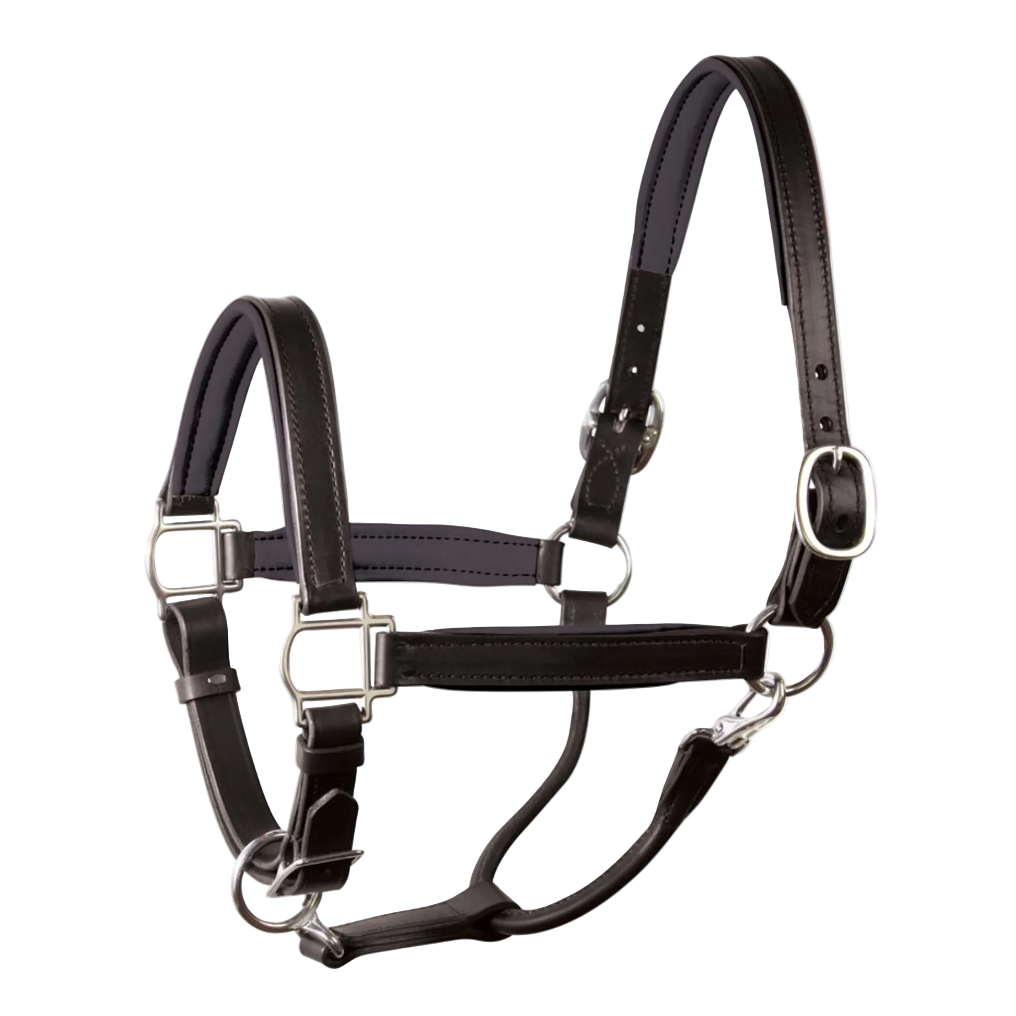 Perri's Padded Halter - BLACK/CHROME