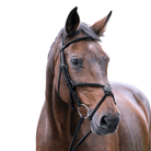 Vespucci Figure 8 Bridle
