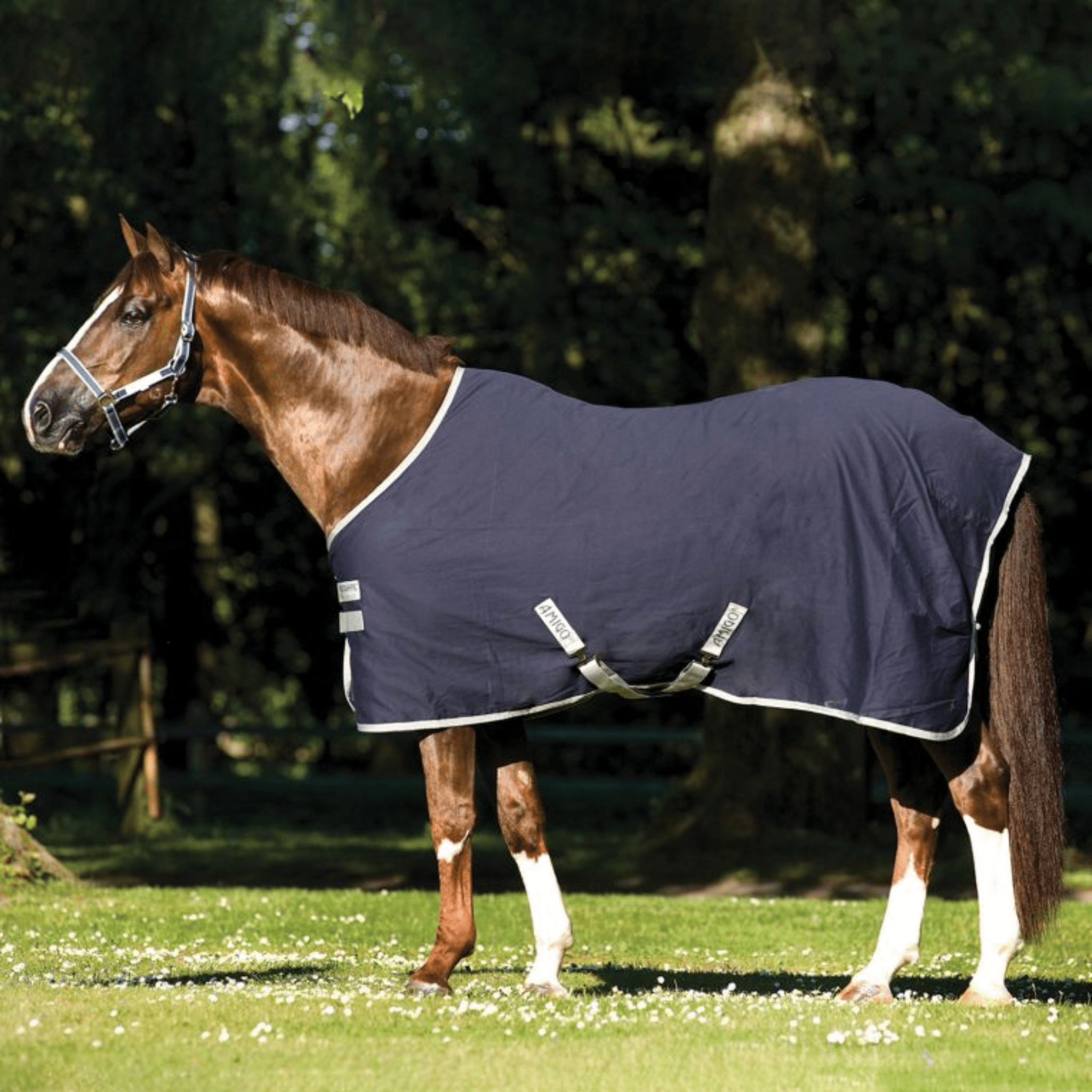 Horseware Amigo Stable Sheet