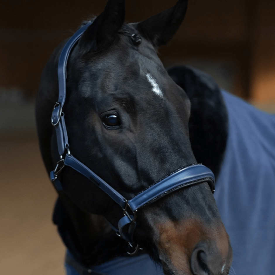 Equestrian Stockholm Anatomic Glimmer Leather Halter - Dark Venice