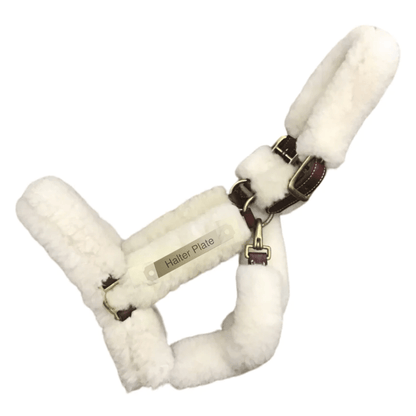 Walsh Sheepskin Shipping Halter With Plate -  Havana & Brass