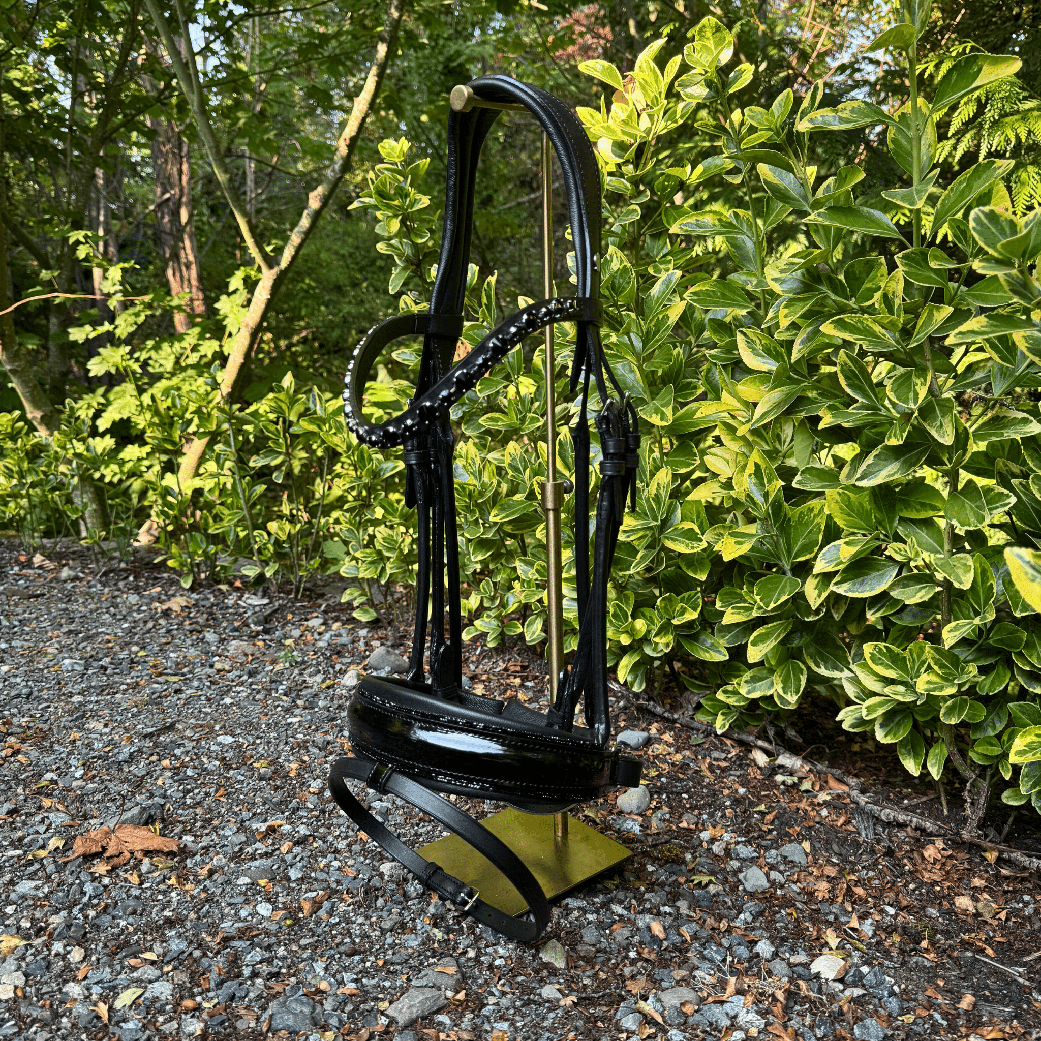 Otto Schumacher Bellevue Elegant Rolled Snaffle with Halo Browband