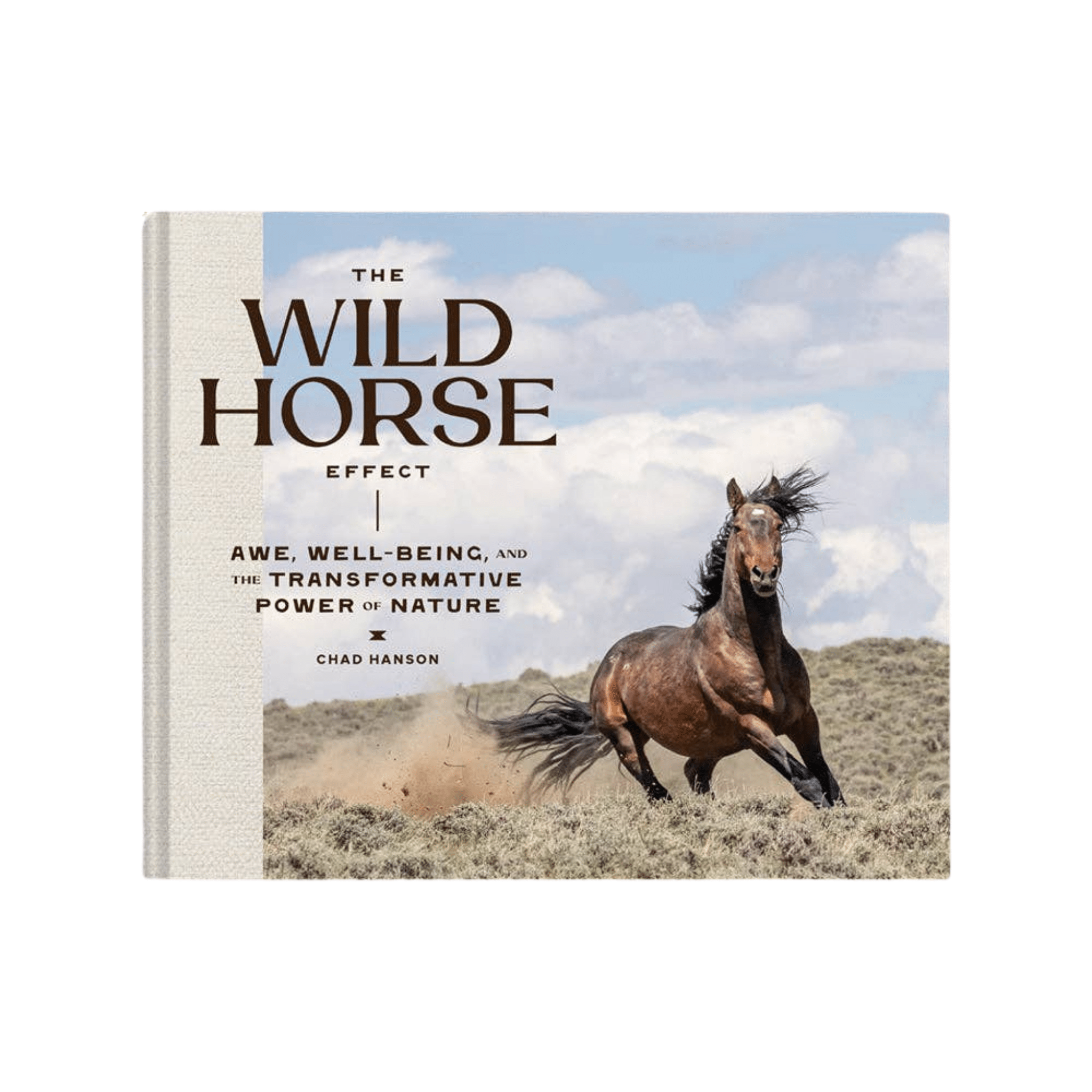 Wild Horse Effect Book