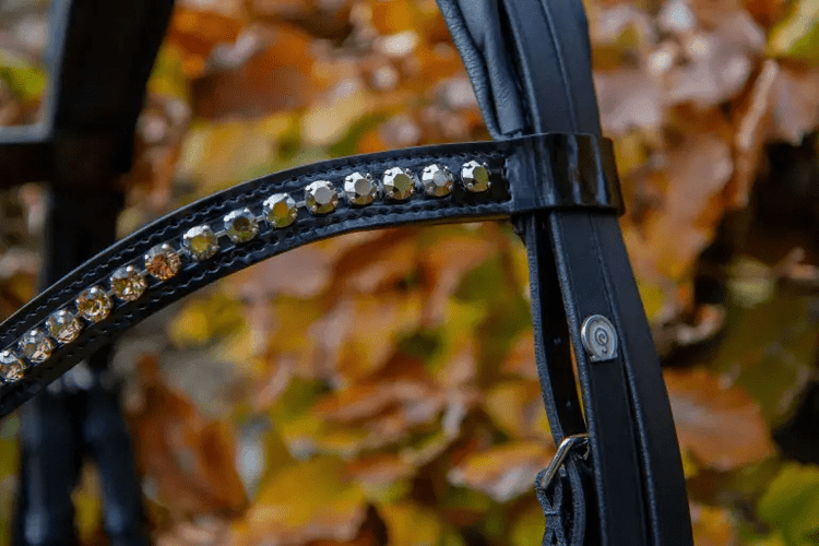 Close-up of a decorative black leather strap against a blurred brown and green background.