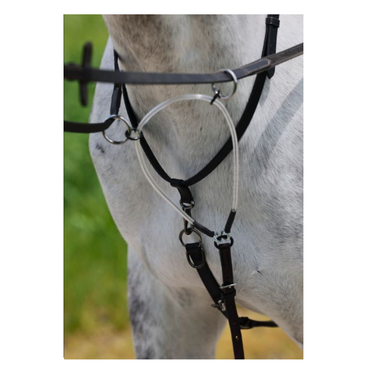 Close-up of a horse's neck and shoulder wearing a black leather bridle with silver metal rings and bit, set against a blurred green and yellow outdoor background.