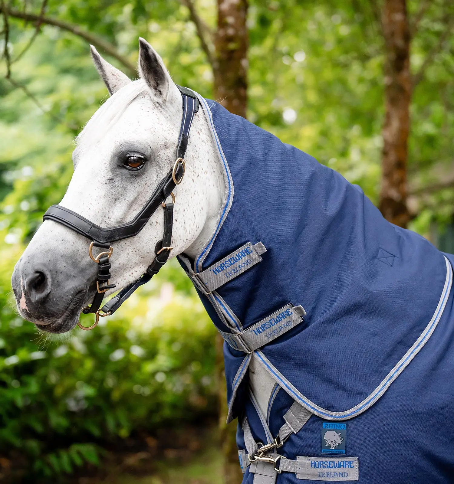 Rhino Plus Pony Turnout 250g