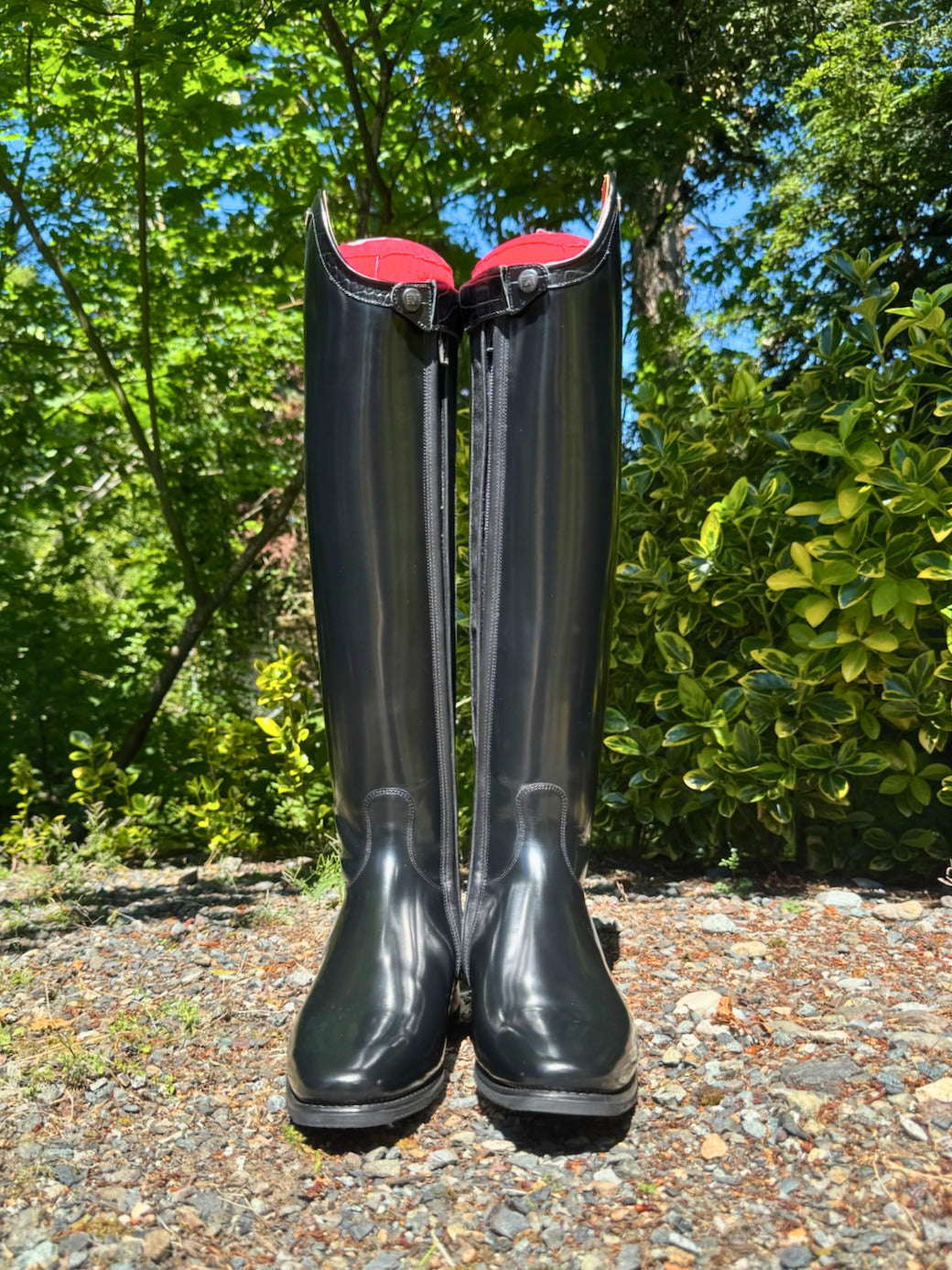 DeNiro Raffaello Dressage Boot - Brushed Black with Malibu Rondine