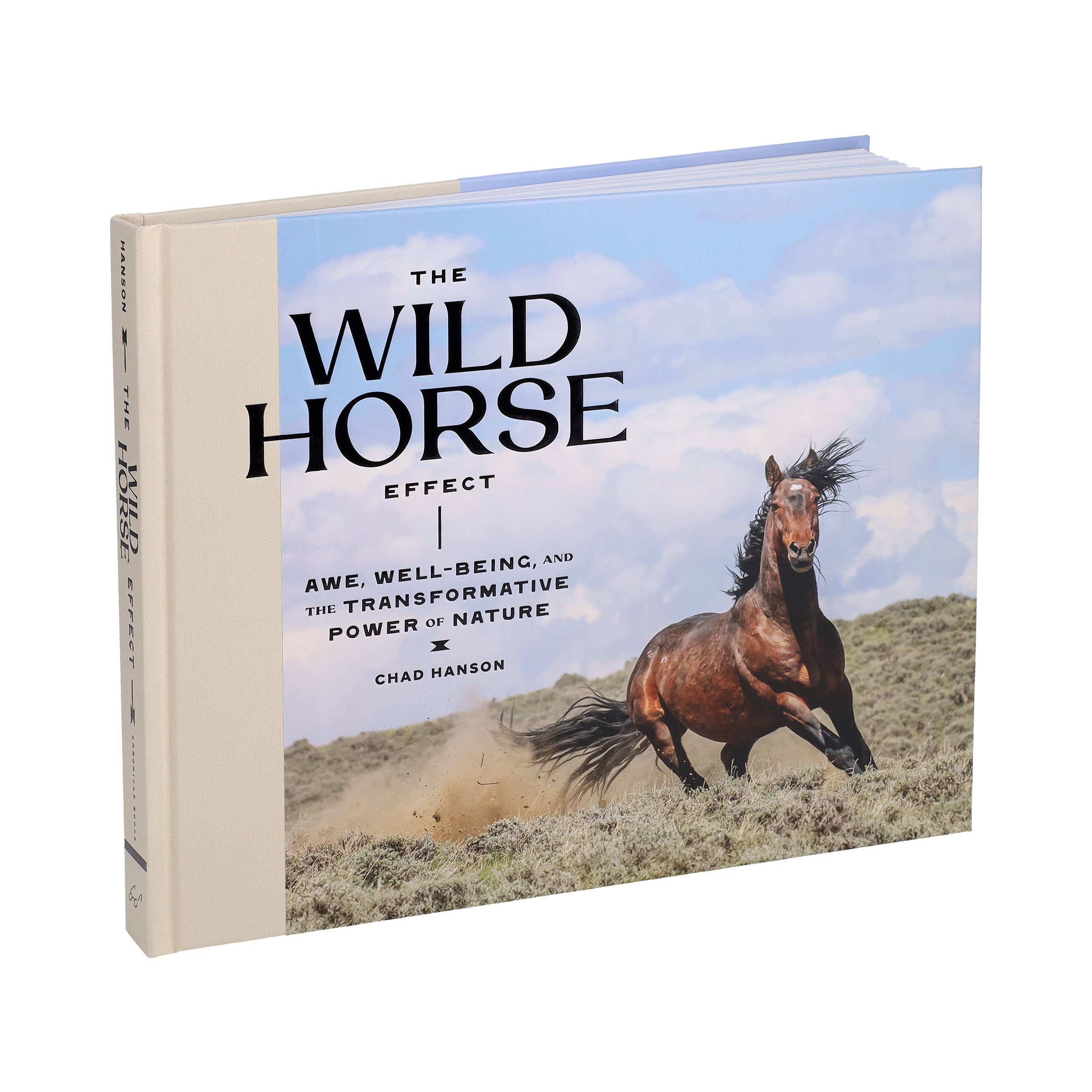 Wild Horse Effect Book