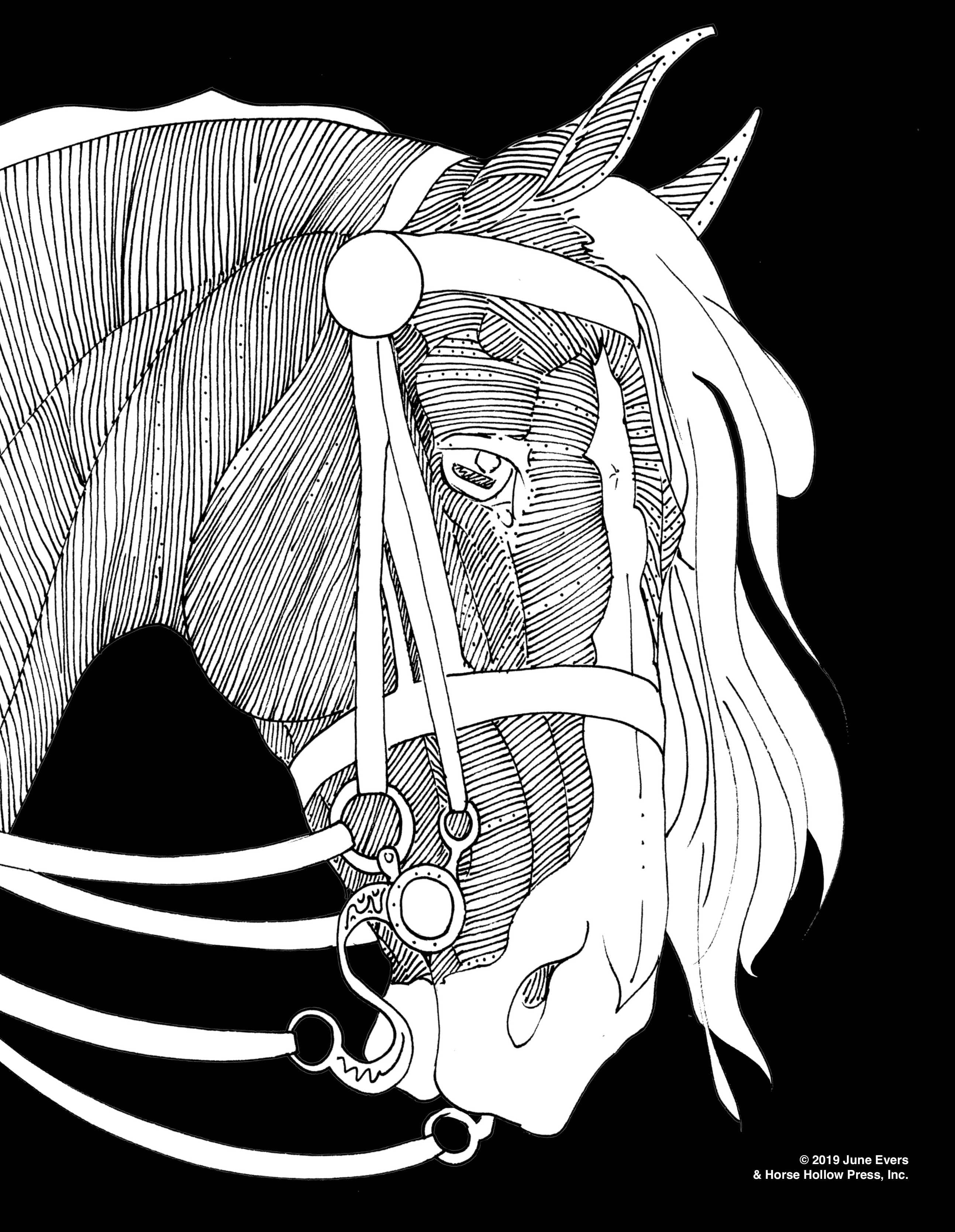 Pretty Horses Poster Kit