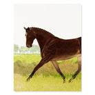 Chester - Horse & Equestrian Greeting Cards