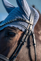 Close-up of a horse's face wearing a blue bridle with a textured cover.