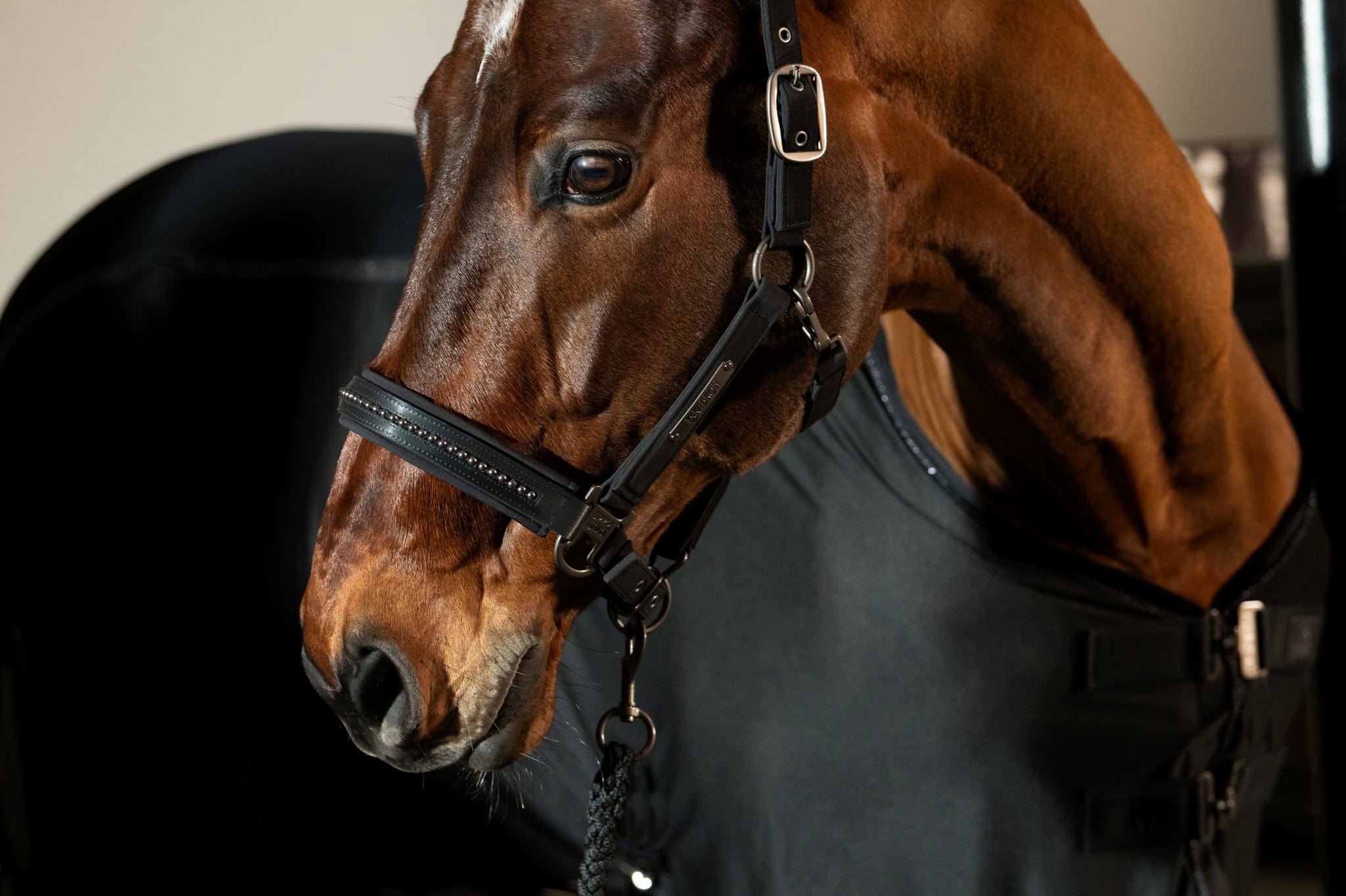 Eskadron Platinum '25 Softshell Pearls Double Pin Halter