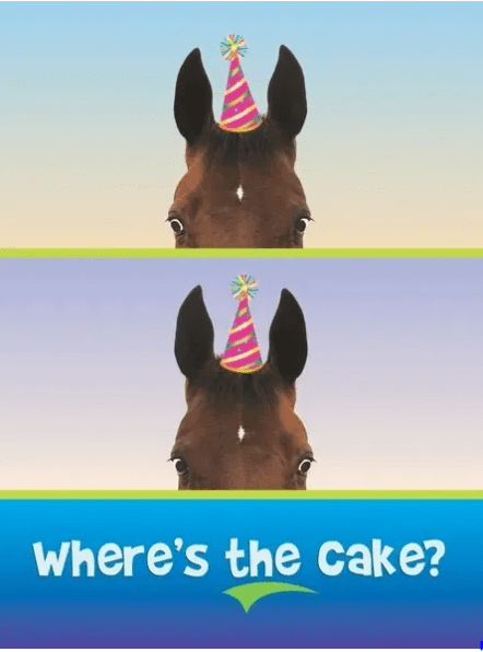 Birthday Card - Where's the cake?