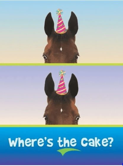 Birthday Card - Where's the cake?