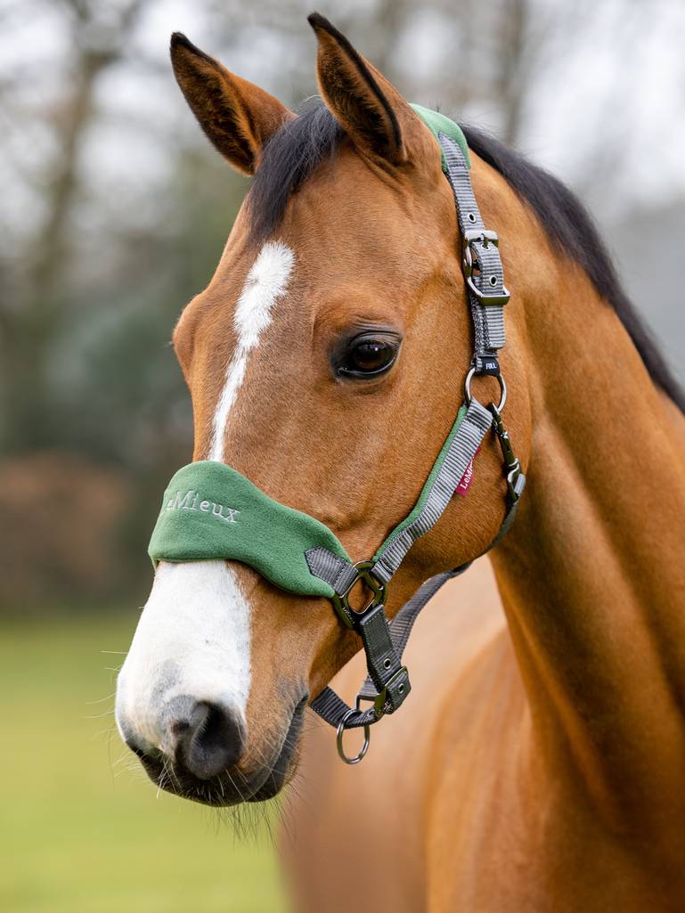 Lemieux Vogue Halter - Hunter Green