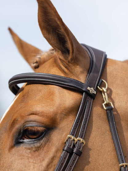 Lemieux Work Bridle - Brown 