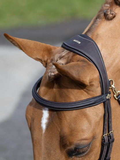 Lemieux Work Bridle - Brown 