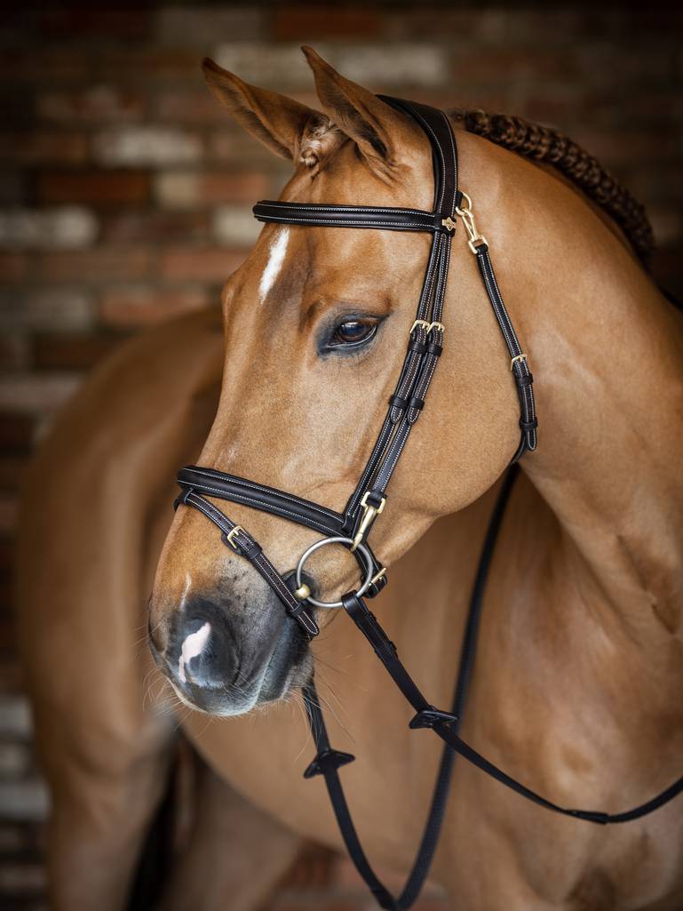 Lemieux Work Bridle - Brown 