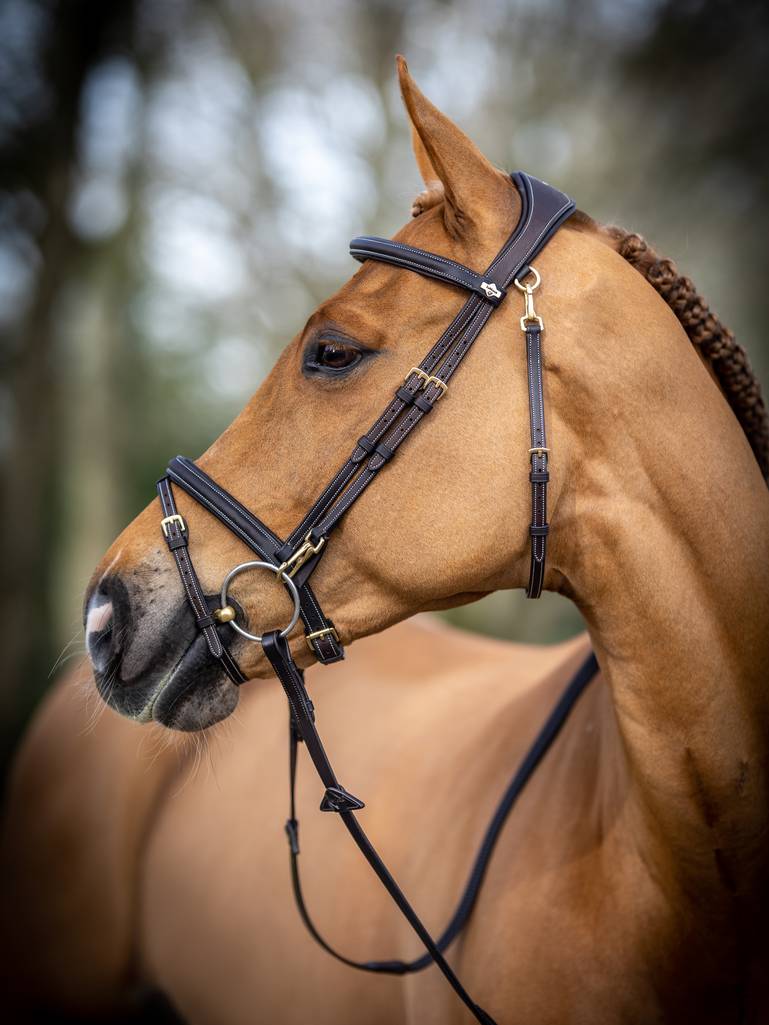 Lemieux Work Bridle - Brown 