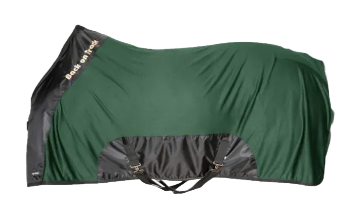 Back on Track Royal Mesh Sheet Deluxe - green