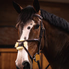 Butet New Figure 8 Bridle