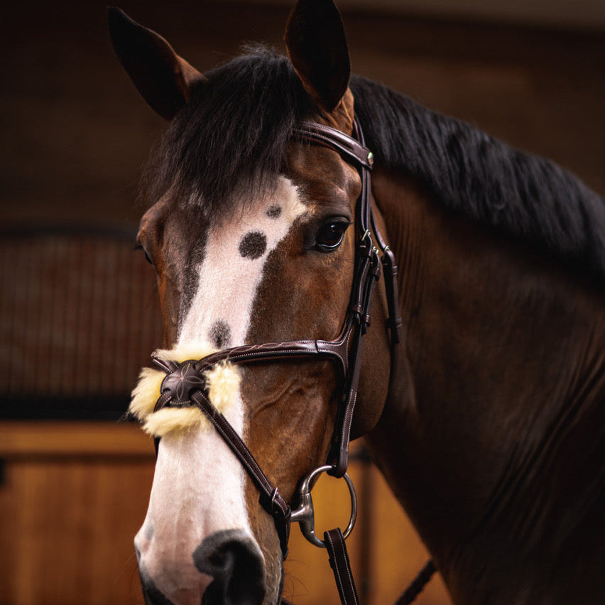 Butet New Figure 8 Bridle