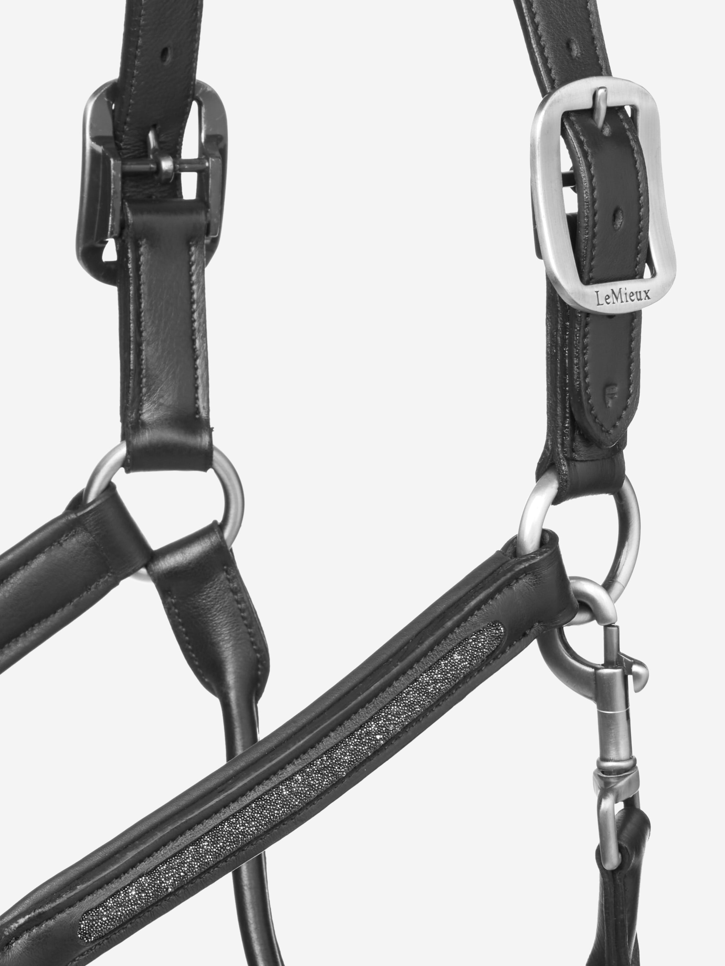 Close-up of a black leather bridle with silver hardware on a white background