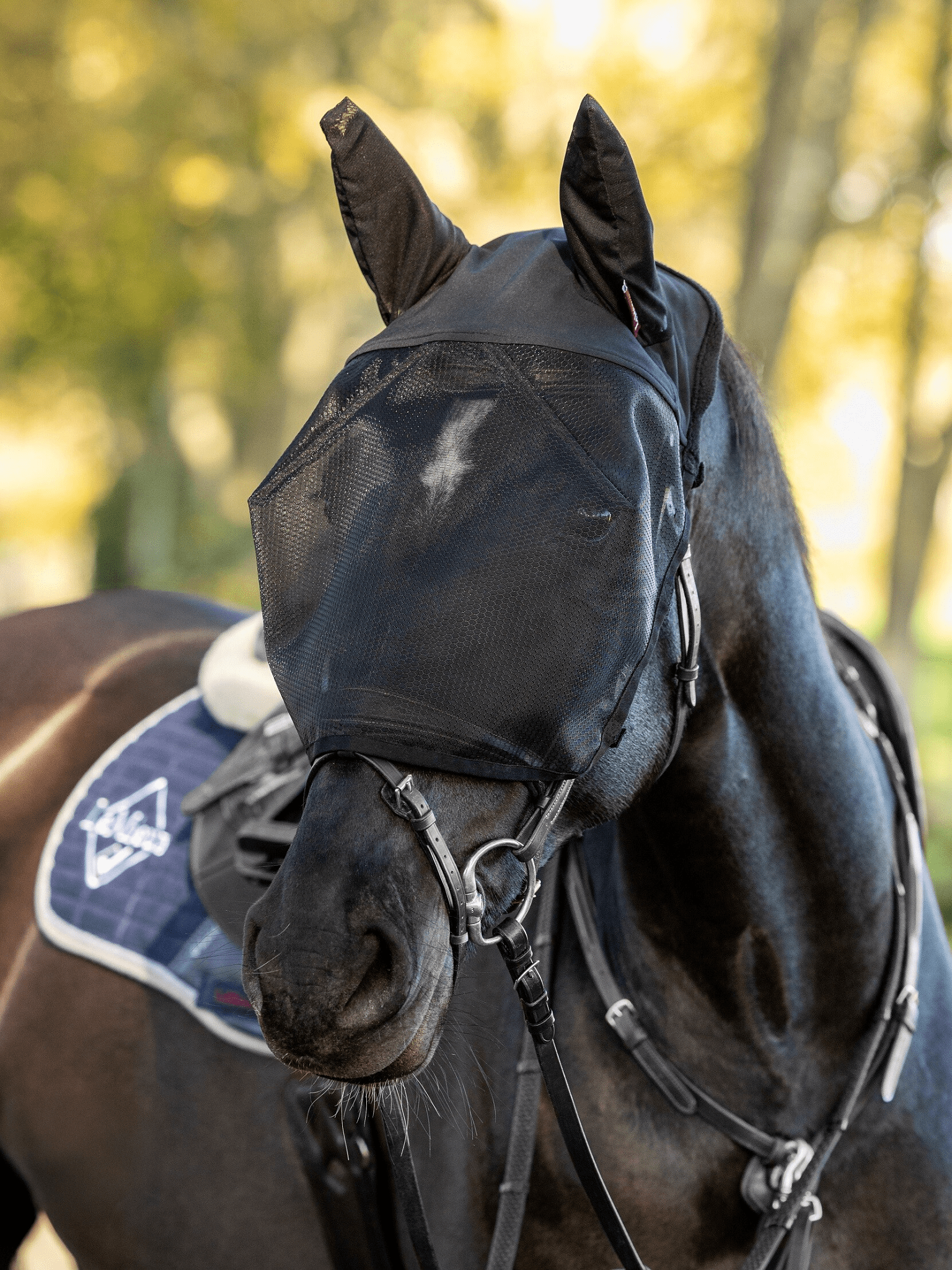 LeMieux Ride On Fly Mask