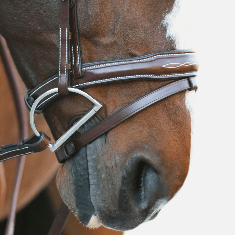 KL Select Millbrook Bridle