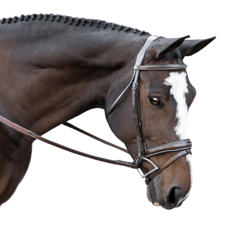 KL Select Millbrook Bridle