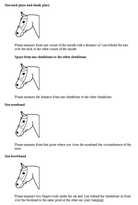 otto measuring guide