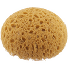 Round Honeycomb Tack Sponge