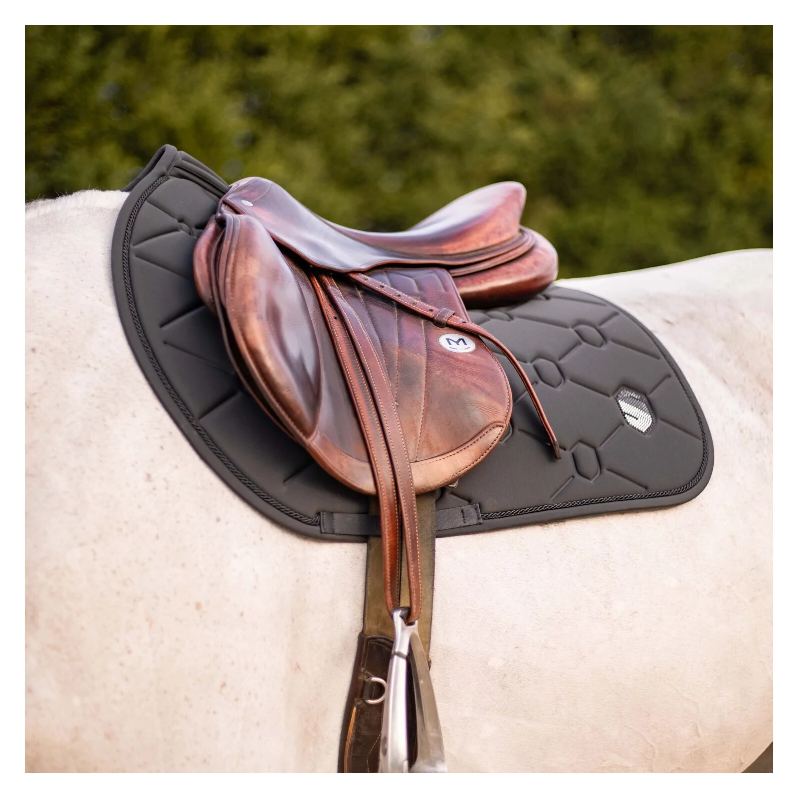 Samshield Spineshield Swarovski Jump Pad Anthracite