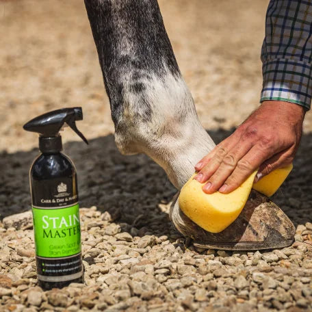 Stain Master Green Spot & Stain Remover