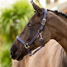 LeMieux Essential Barn Halter