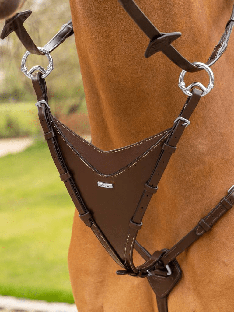 Bib Martingale Attachment 